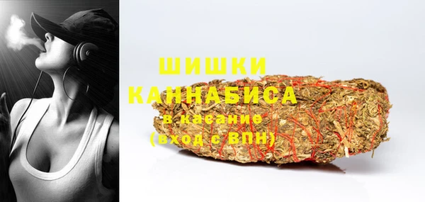 кокс Ельня