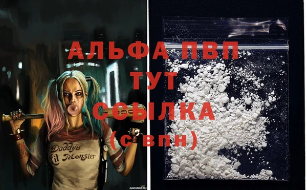 кокс Ельня