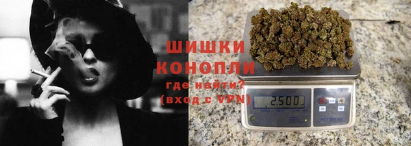 кокс Ельня