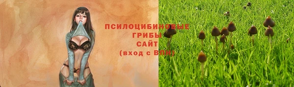 кристаллы Елизово