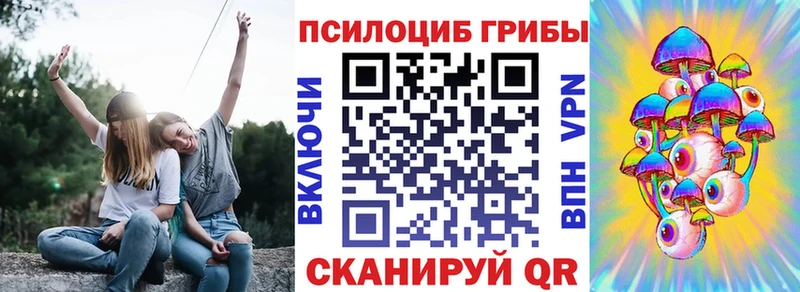 Псилоцибиновые грибы мухоморы  мега вход  Татарск  где купить  