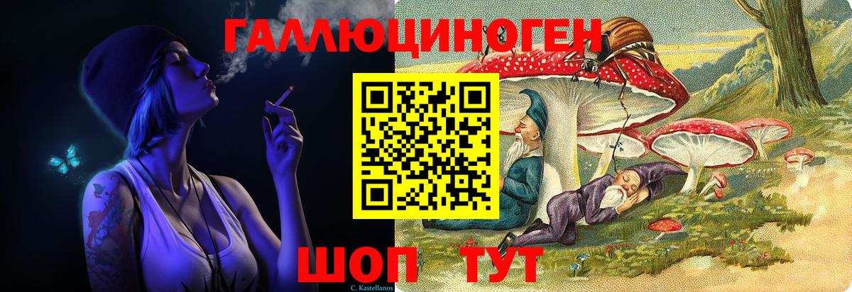 Татарск  наркота  Вход с VPN  Псилоцибиновые грибы Psilocybe 