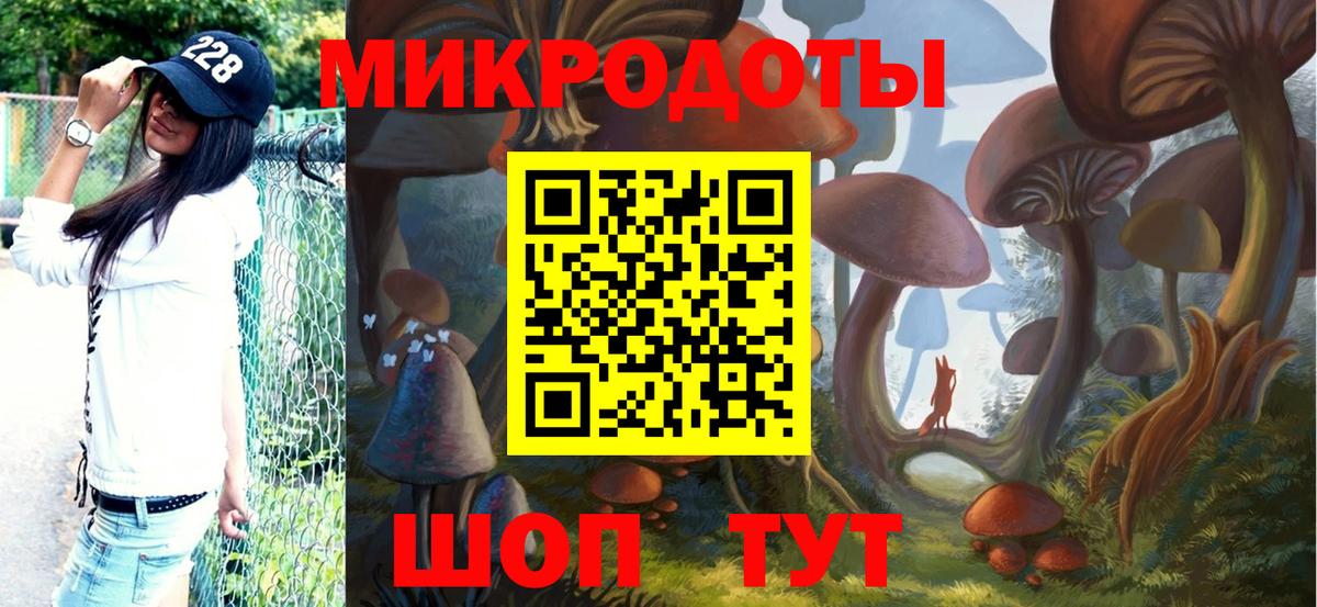 Псилоцибиновые грибы Psilocybe Татарск