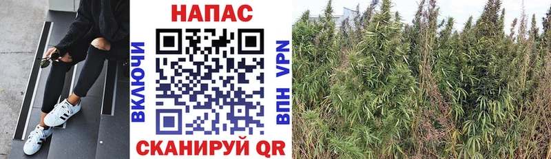 Канабис индика  где найти наркотики  Татарск 